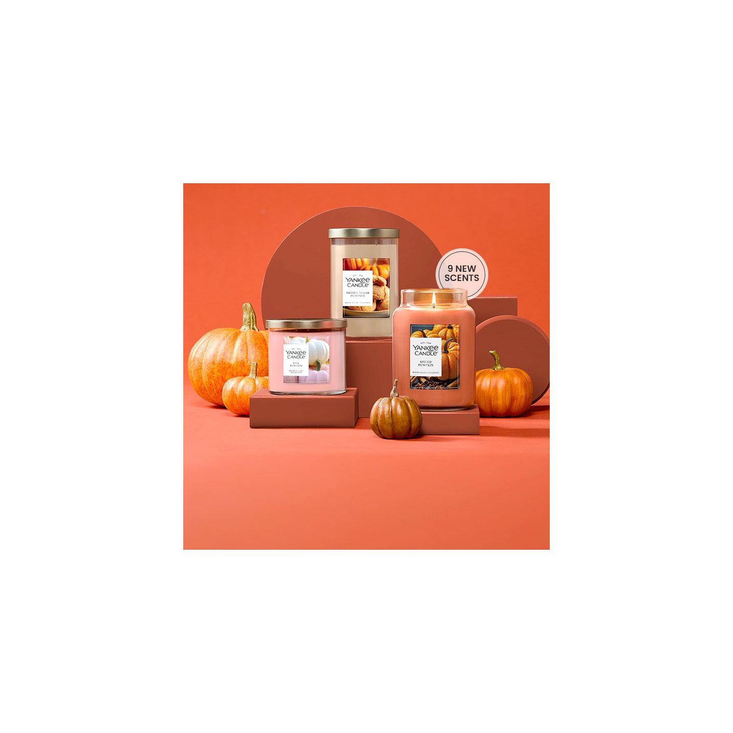 Pumpkin Everything