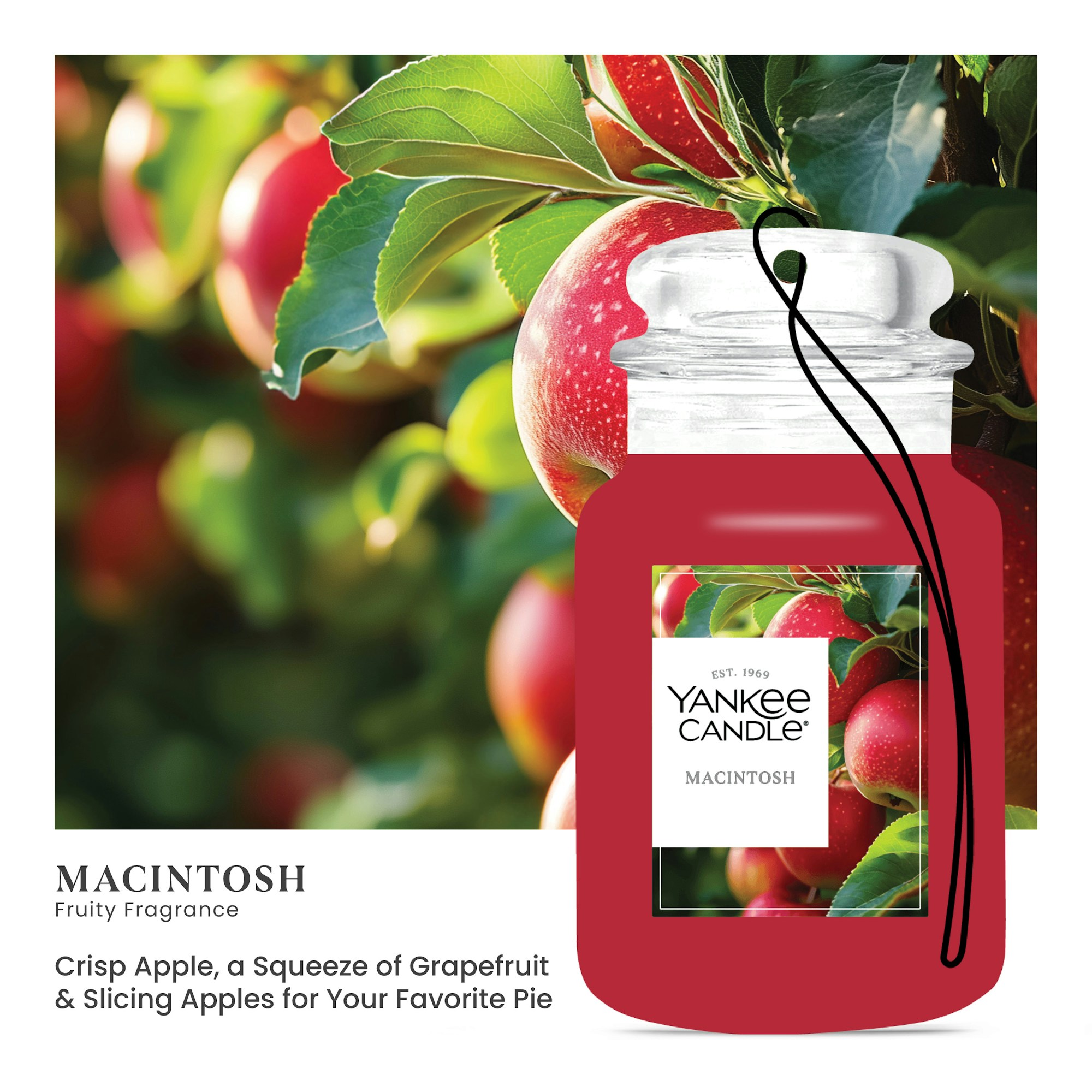 Macintosh - Image 2