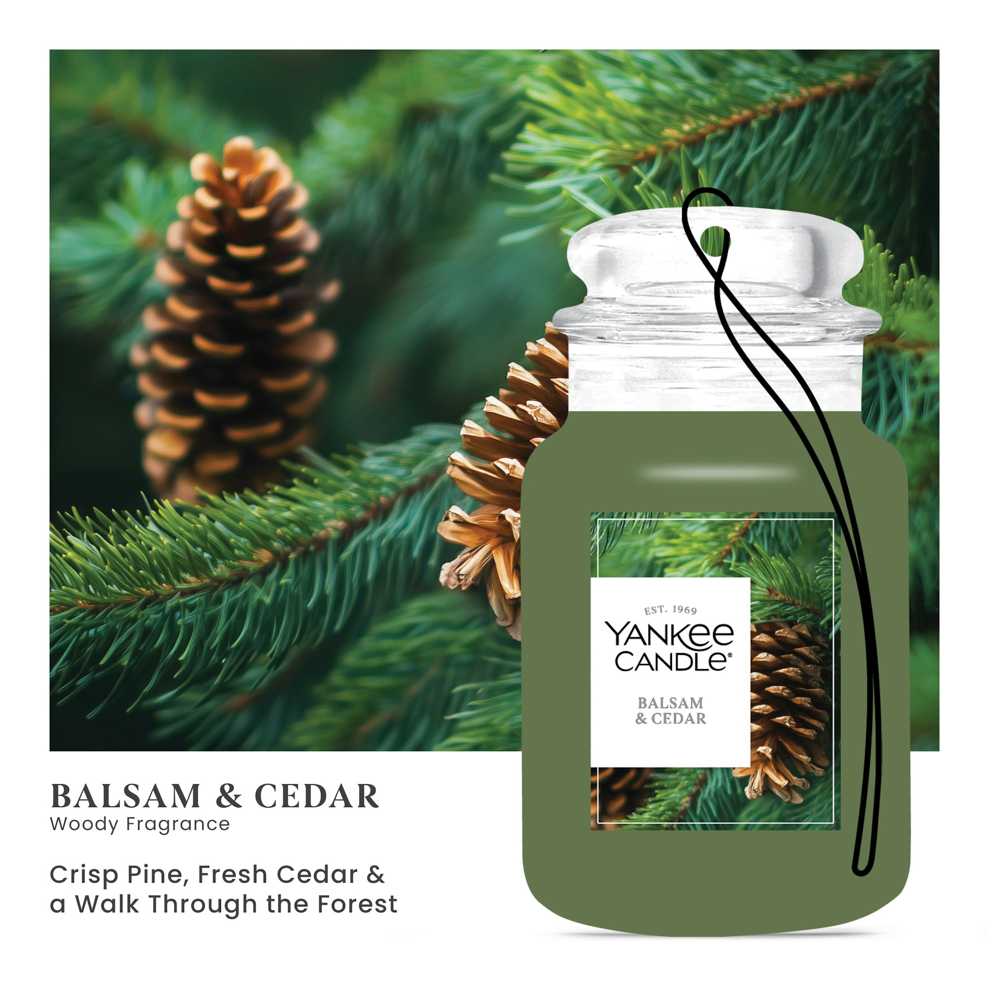 Balsam & Cedar - Image 2