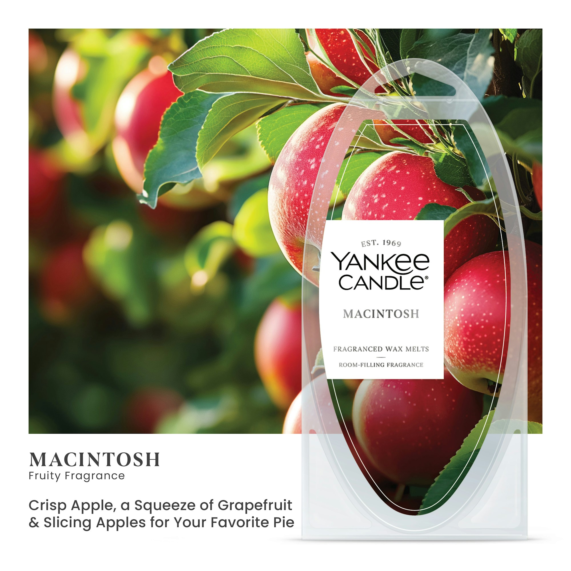 Macintosh - Image 2