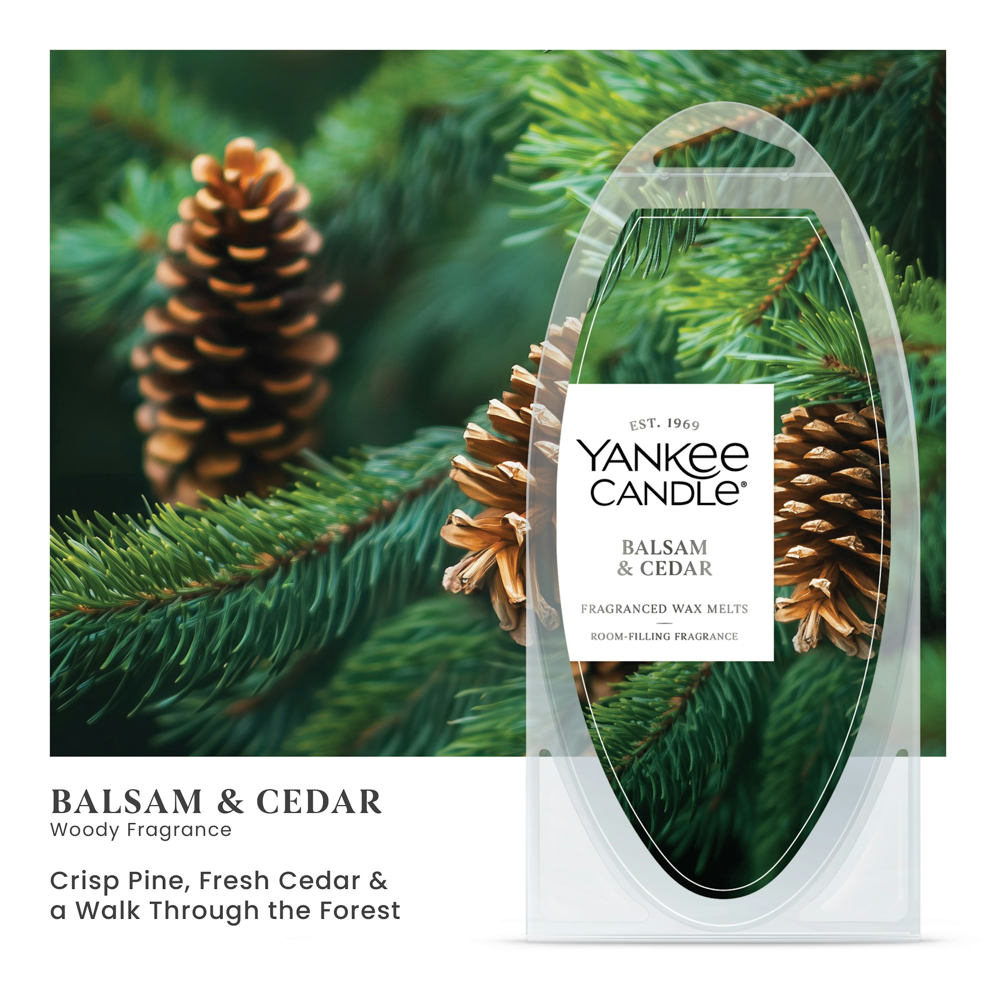 Balsam & Cedar - Image 2