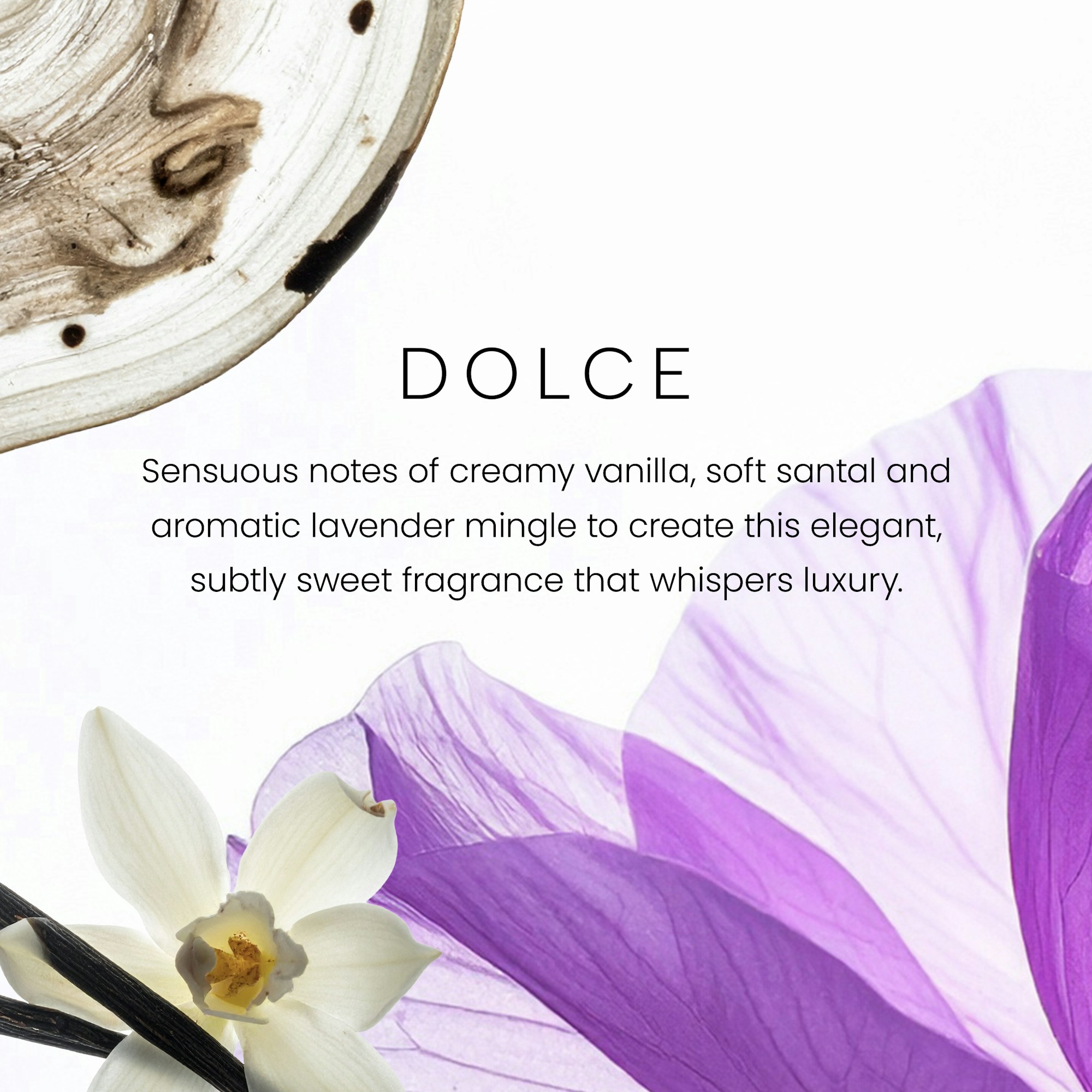 Dolce - Image 2