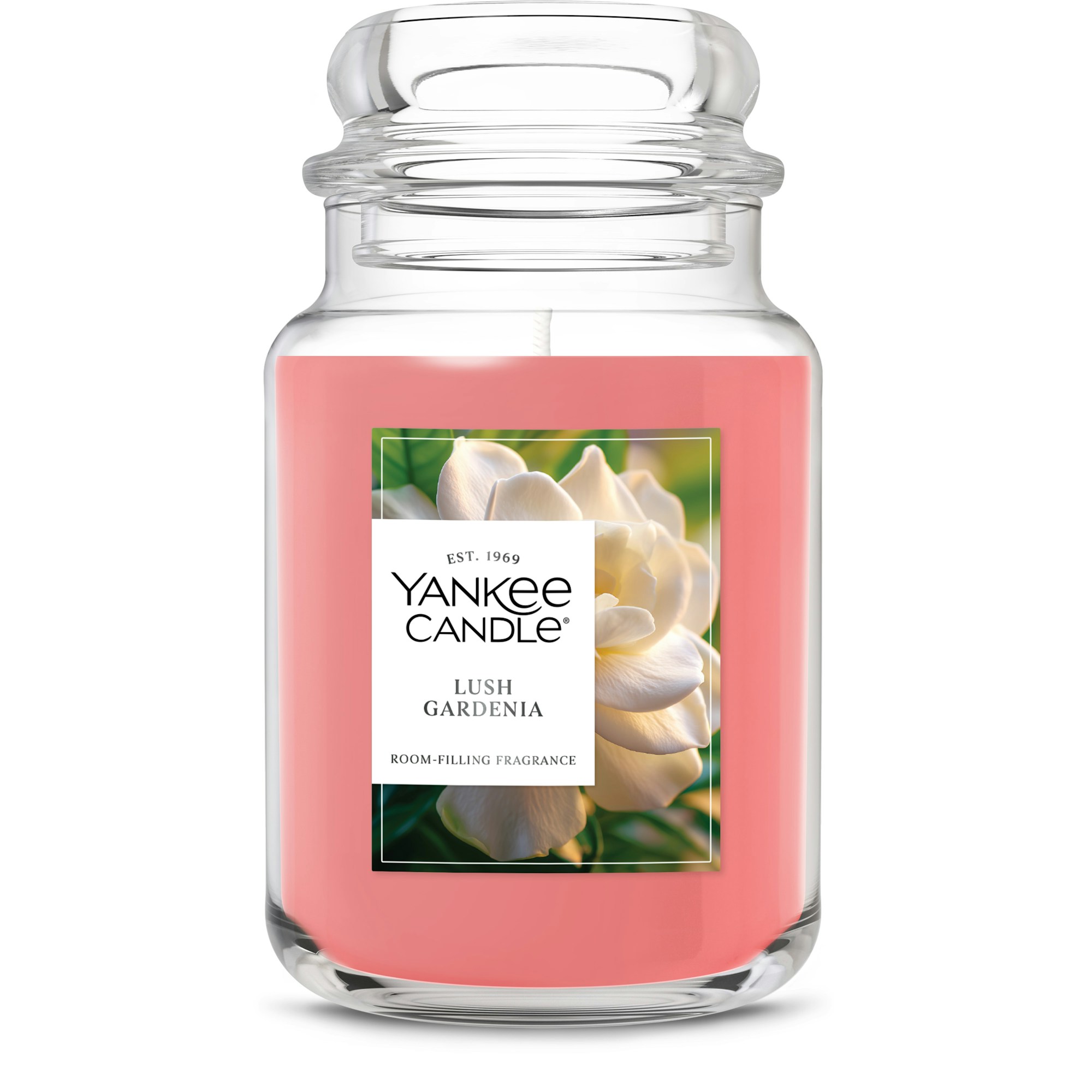 Lush Gardenia